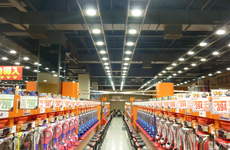 ▶ ウイング蕨様